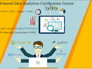 Job Guarantee Data Analyst Course in Delhi, 110065. Certification for "Online Data Analyst Course with Placement"