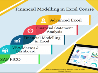Financial Modelling Course in Delhi, 110008. Best Online Live Financial Analyst Training in Hyderabad by IIT Faculty , [ 100% Job in MNC]